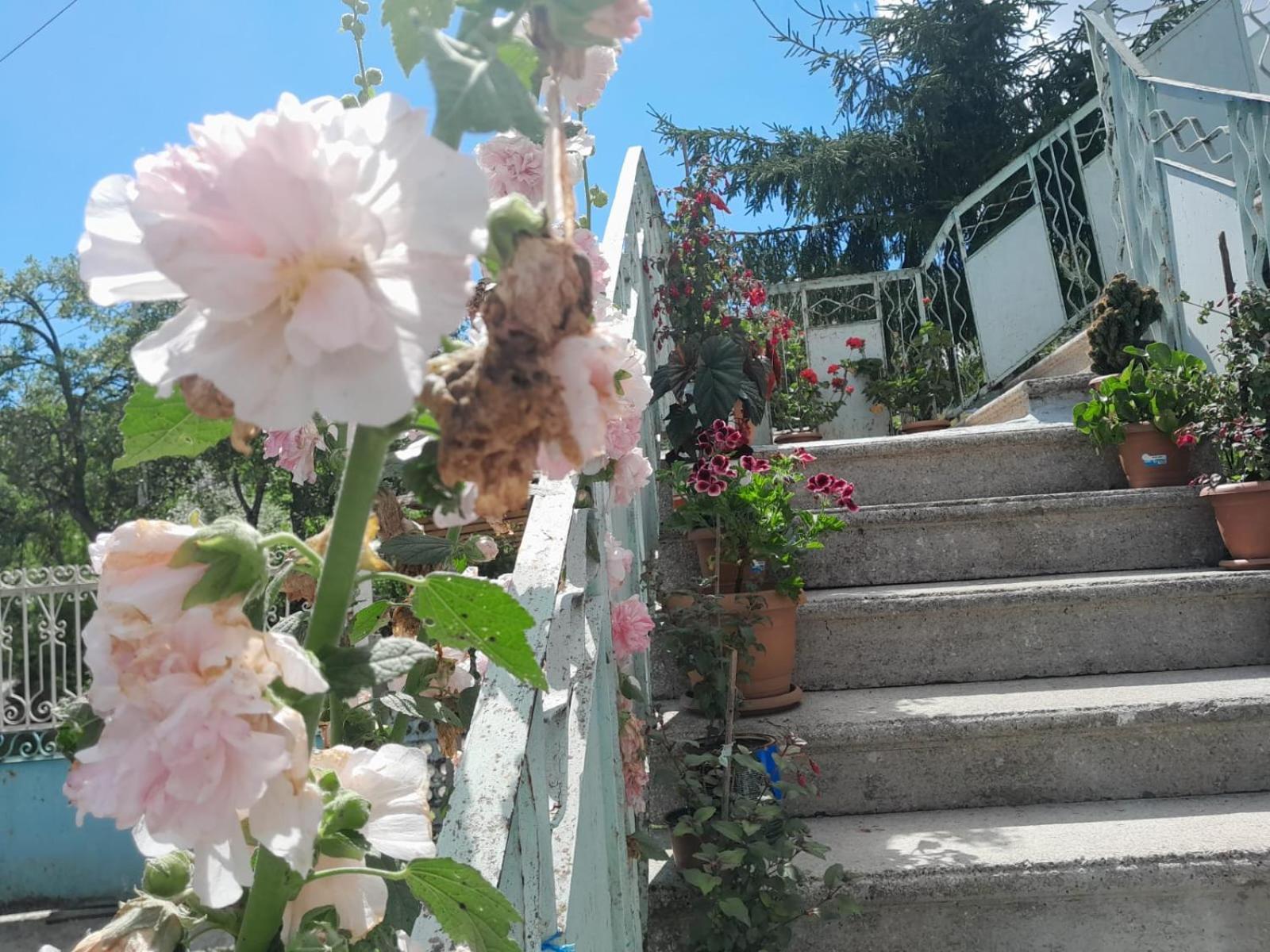 Armazi Ξενοδοχείο Khulo Εξωτερικό φωτογραφία