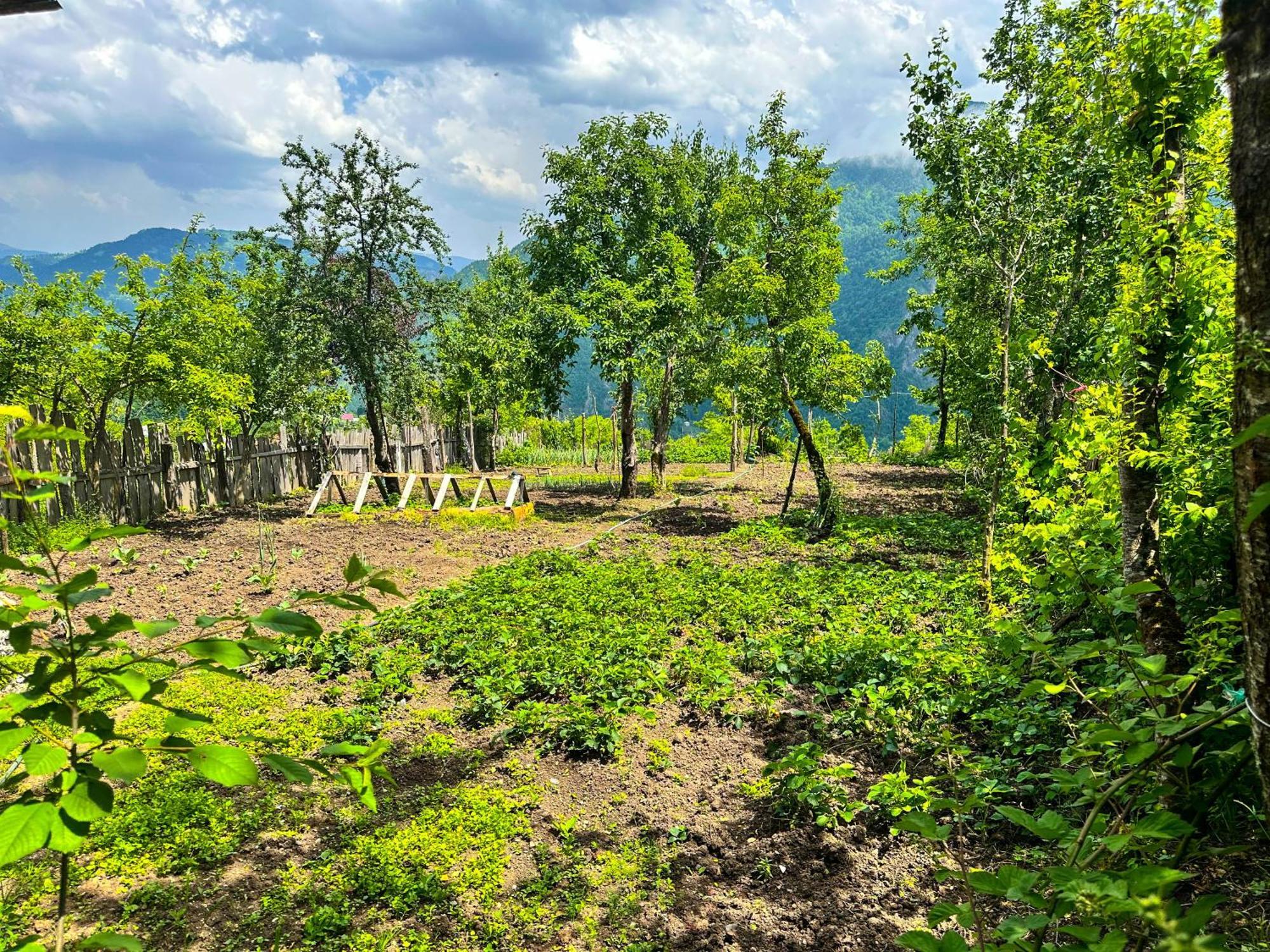 Armazi Ξενοδοχείο Khulo Εξωτερικό φωτογραφία